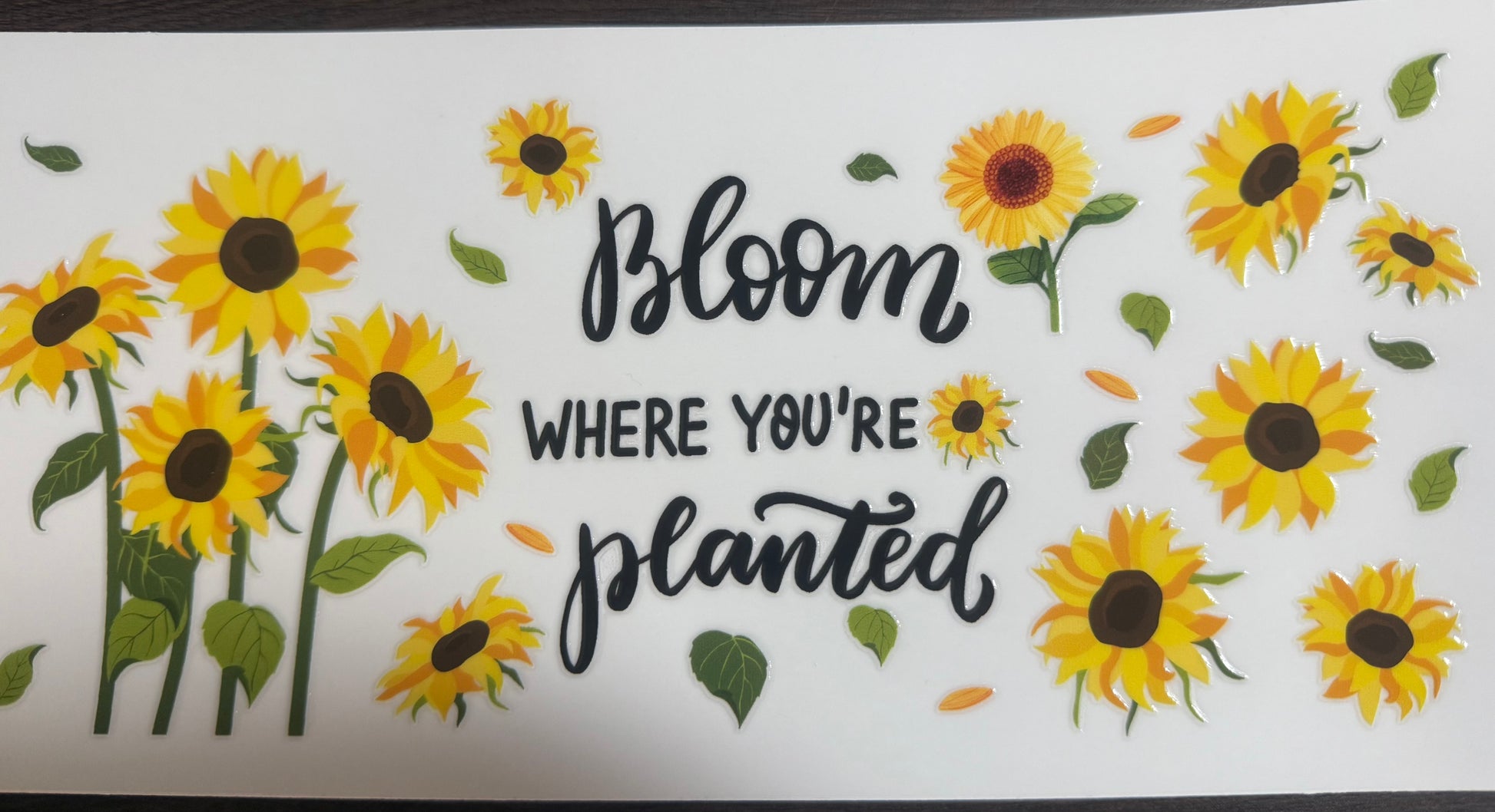 #109 Bloom
